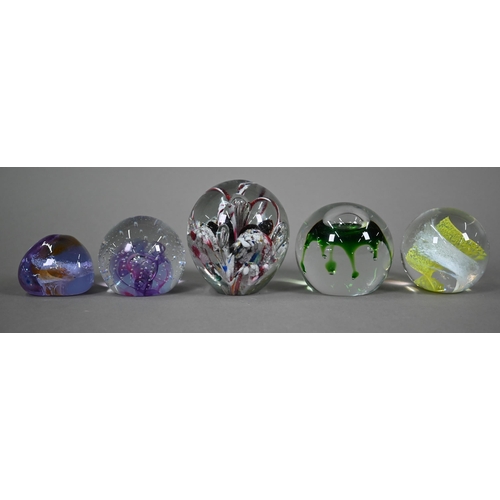 561 - Various paperweights including three Caithness weights and a Selkirk weight, floral specimens etc (b... 