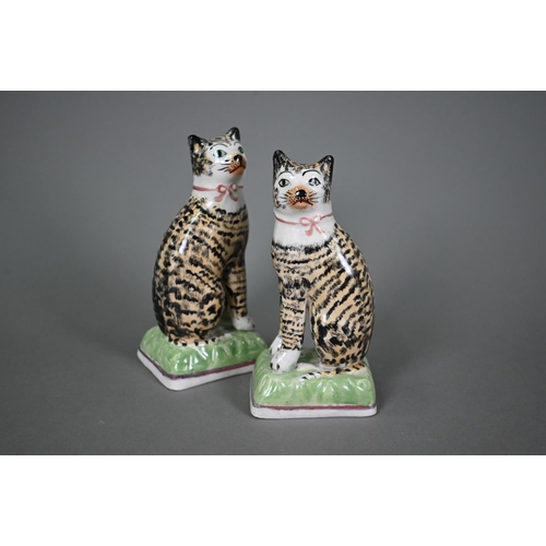 580 - A pair of early 19th century Staffordshire pottery seated tabby-cats, 18 cm high