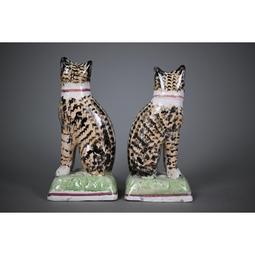 580 - A pair of early 19th century Staffordshire pottery seated tabby-cats, 18 cm high