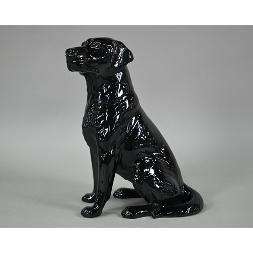 583 - Large Beswick seated black labrador, 2314, 34 cm