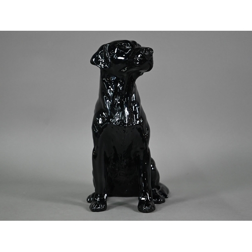 583 - Large Beswick seated black labrador, 2314, 34 cm