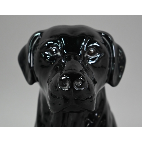 583 - Large Beswick seated black labrador, 2314, 34 cm