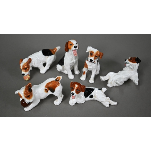 584 - Six Royal Doulton Jack Russell puppies, HN 1097, 1098, 1099, 1101, 1103 and 1159 (6)