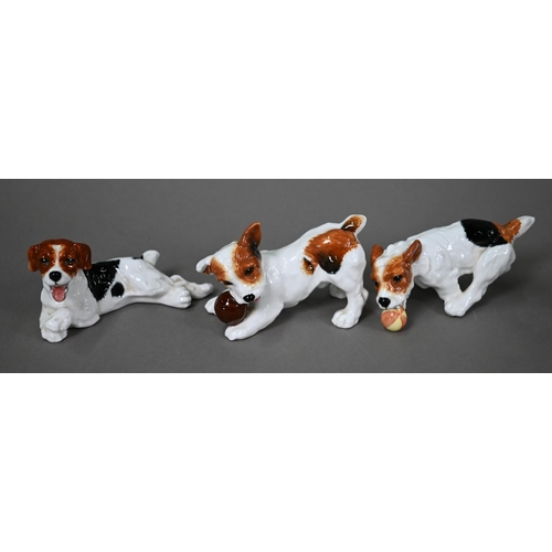 584 - Six Royal Doulton Jack Russell puppies, HN 1097, 1098, 1099, 1101, 1103 and 1159 (6)