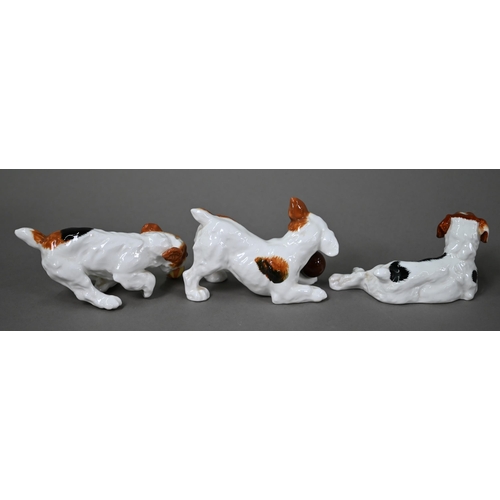 584 - Six Royal Doulton Jack Russell puppies, HN 1097, 1098, 1099, 1101, 1103 and 1159 (6)