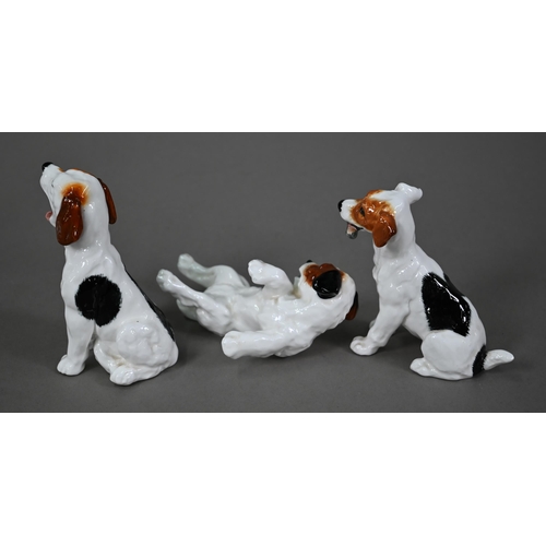 584 - Six Royal Doulton Jack Russell puppies, HN 1097, 1098, 1099, 1101, 1103 and 1159 (6)