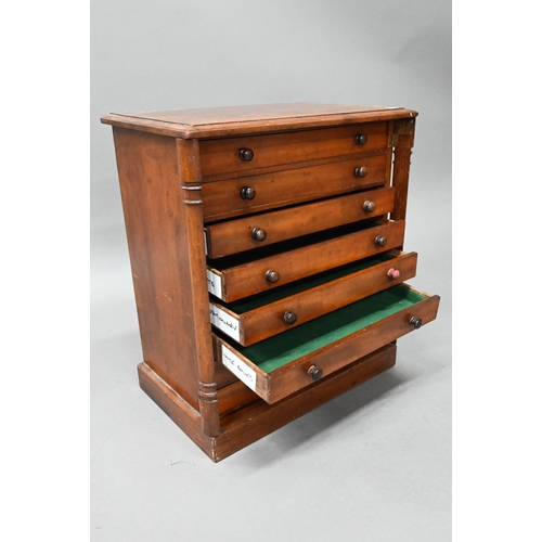 879 - A Victorian miniature Wellington collectors chest of eight drawers, on a plinth base, 48 cm w x 30 c... 