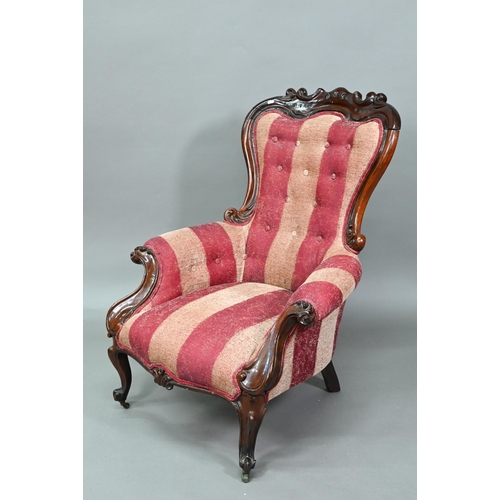 899 - A late Victorian rosewood show framed salon chair, with later button upholstered covers, the front l... 