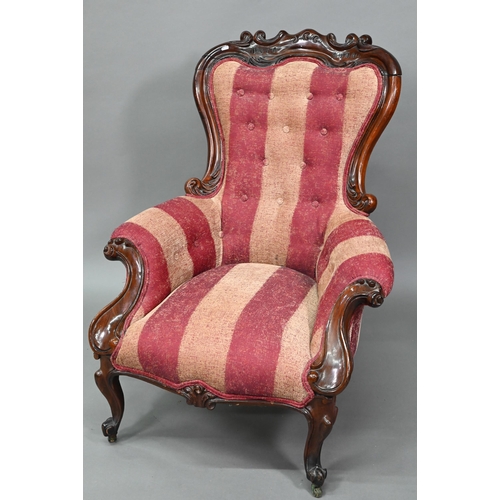 899 - A late Victorian rosewood show framed salon chair, with later button upholstered covers, the front l... 