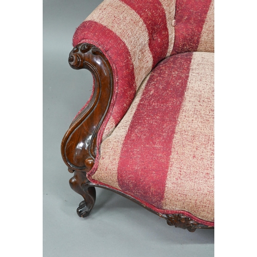 899 - A late Victorian rosewood show framed salon chair, with later button upholstered covers, the front l... 