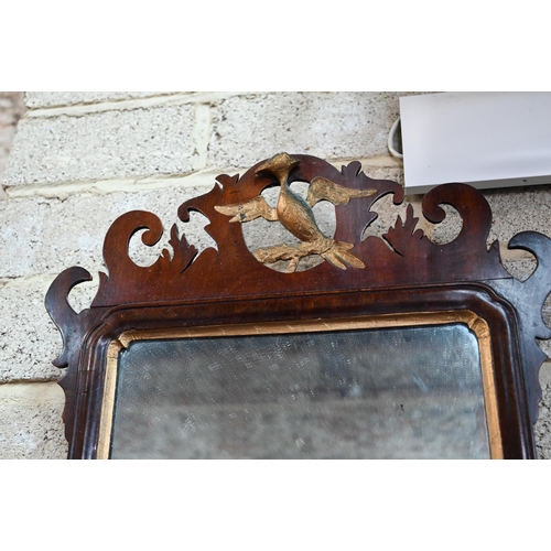 934 - Two antique fret framed mirrors, one with gilt ho-ho bird surmount, 73 cm x 44 cm (2)