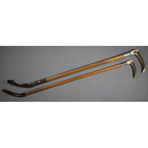 1078 - Two malacca riding crops with antler handles, one iwth 9ct gold band, Julius Klinkhardt, London 1912... 