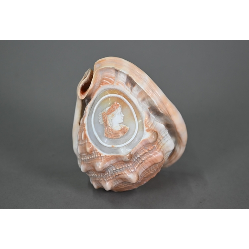 1092 - An Italian conch shell, finely carved with a female classical profile bust, 13 cm high