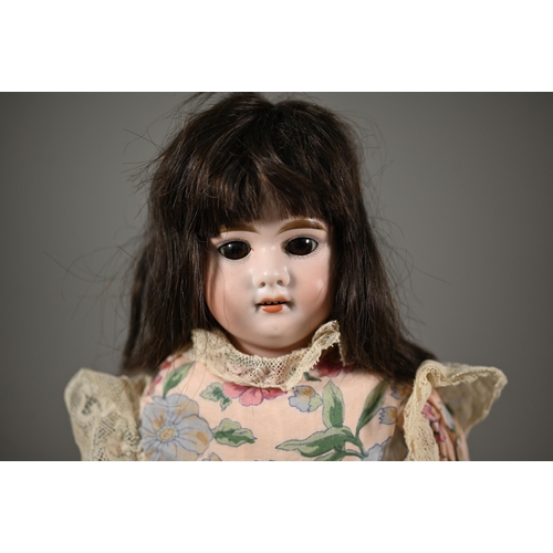 1195 - An Armand Marseille no 3500 AM 2 1/2D bisque-headed girl doll with brown wig, closing brown eyes and... 