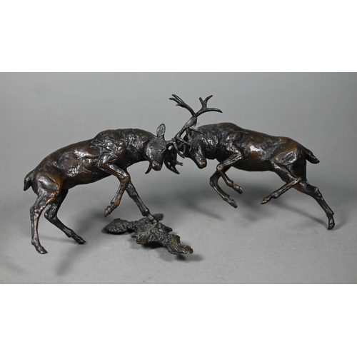 1216 - A brown bronze sculpture of battling stags, antlers locked together, 11 cm h x 24 cm long