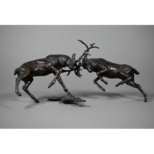 1216 - A brown bronze sculpture of battling stags, antlers locked together, 11 cm h x 24 cm long