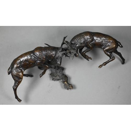 1216 - A brown bronze sculpture of battling stags, antlers locked together, 11 cm h x 24 cm long