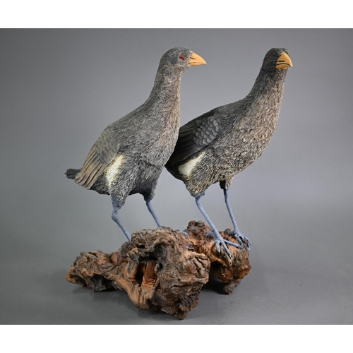 1219 - Damian Santamaria, two well executed artisan pottery birds, raised on a weathered wood root-clump ba... 