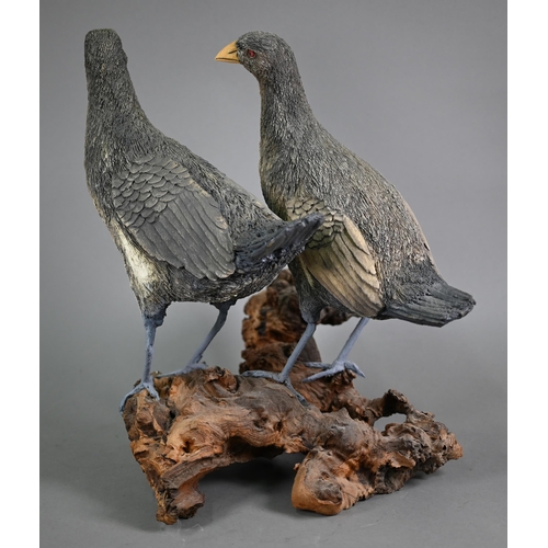 1219 - Damian Santamaria, two well executed artisan pottery birds, raised on a weathered wood root-clump ba... 