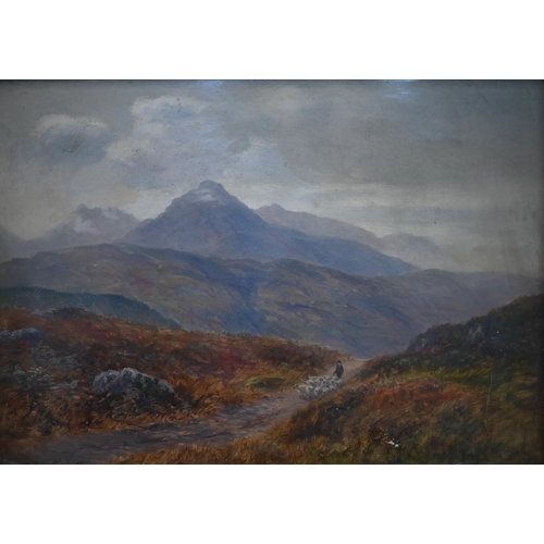 Lot 708       
