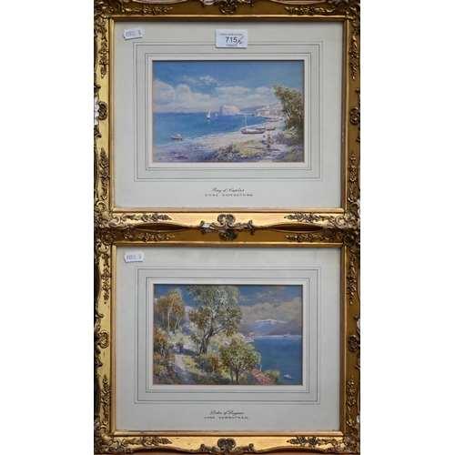 Lot 715       