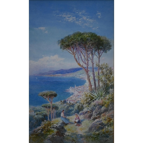 Lot 716       