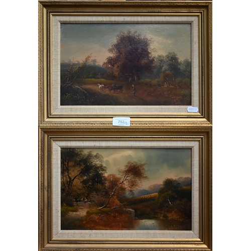 Lot 753       
