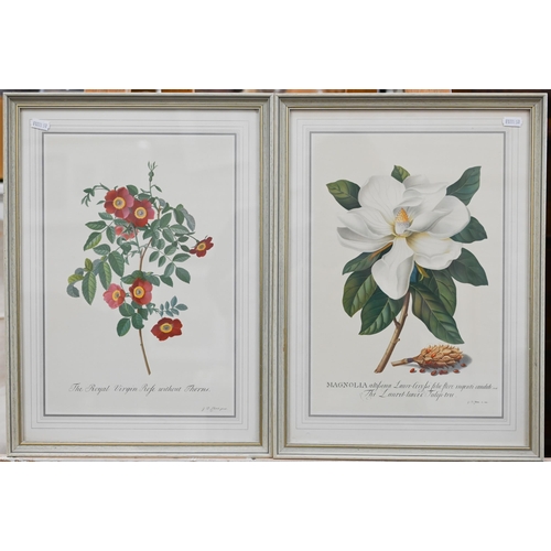 308 - Six botanical flower study prints, 42 x 30 cm (6)