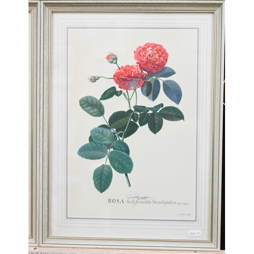 308 - Six botanical flower study prints, 42 x 30 cm (6)