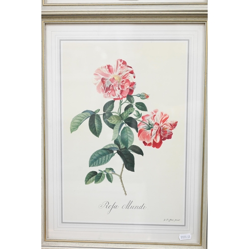 308 - Six botanical flower study prints, 42 x 30 cm (6)