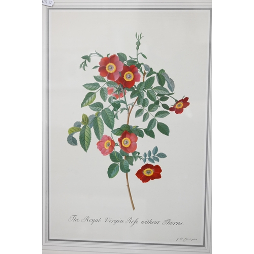 308 - Six botanical flower study prints, 42 x 30 cm (6)