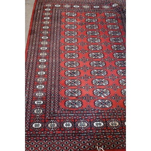 350 - A Pakistani teke Bokhara rug, the repeating gul design on red ground, 184 x 125 cm