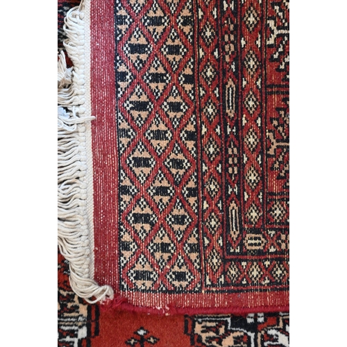 350 - A Pakistani teke Bokhara rug, the repeating gul design on red ground, 184 x 125 cm