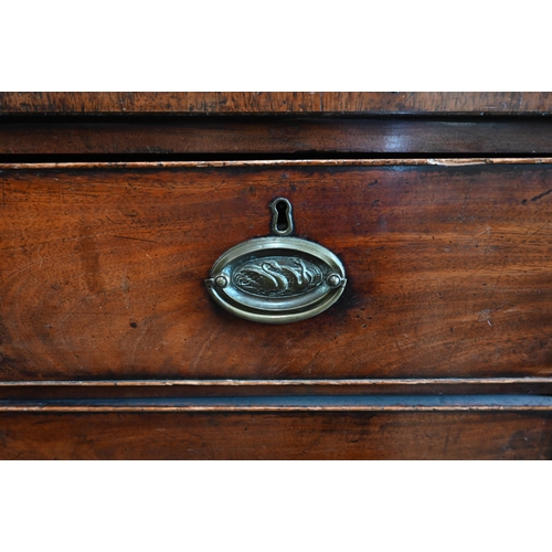 362 - A George III mahogany chest of two short over three long drawers with brass oval handles cast with s... 