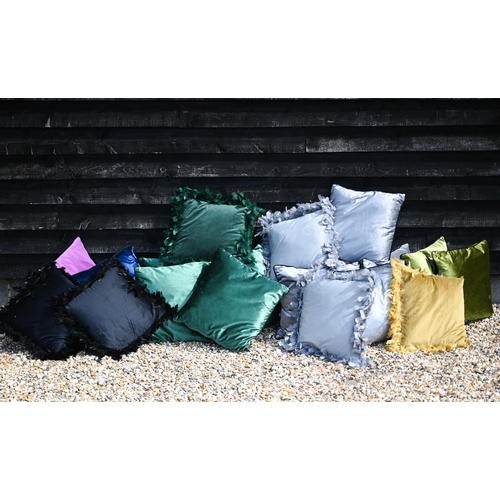 641 - A quantity of modern plush/velvet cushions, various colours (18)