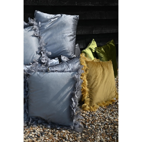 641 - A quantity of modern plush/velvet cushions, various colours (18)