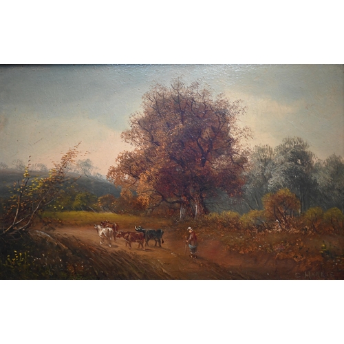 253 - G Harris - A pair of autumnal landscapes, oil on board, signed, 18 x 29 cm (2)