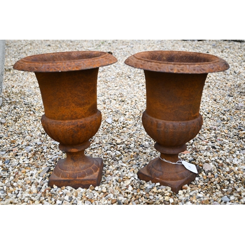 16 - A pair of weathered cast iron Regency style urns, 24 cm dia. x 31 cm h (2)