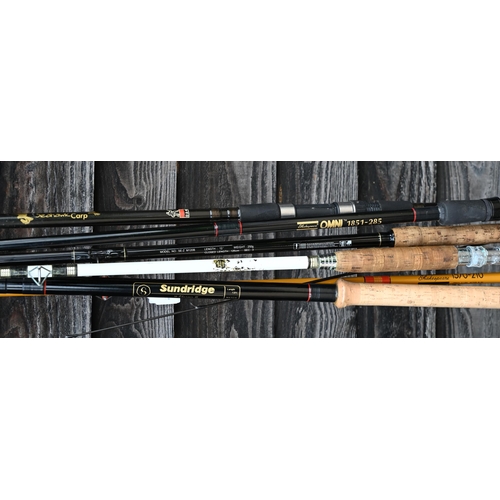 239 - Various coarse and sea fishing rods, 2 with fixed spool reels, with sleeves and rod-bag