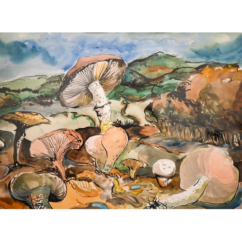 265 - M Chalmers - Funghi, watercolour, signed, 33 x 45 cm to/w limited edition print 'Mushrooms', 6.5 x 3... 