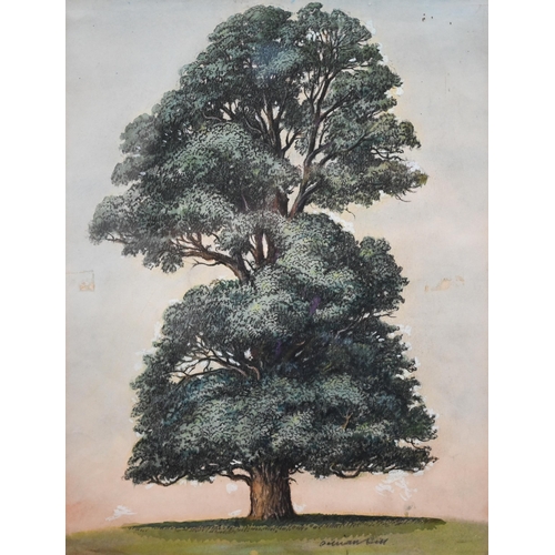 266 - Three watercolours - Adrian Hill, oak tree, 30.5 x 23 cm; Scottish mountain landscape, 30.5 x 49.5 c... 