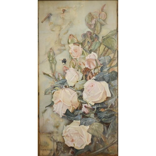 273 - David Carr - Study of roses, watercolour, signed, 38.5 x 20.5 cm