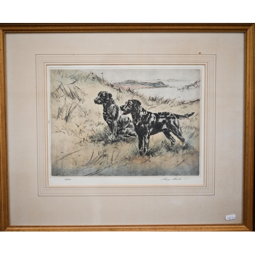 281 - After Henry Wilkinson - Five limited edition hand-coloured etchings, Spaniels, English Springers, Ch... 