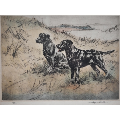 281 - After Henry Wilkinson - Five limited edition hand-coloured etchings, Spaniels, English Springers, Ch... 