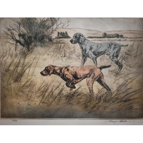 281 - After Henry Wilkinson - Five limited edition hand-coloured etchings, Spaniels, English Springers, Ch... 