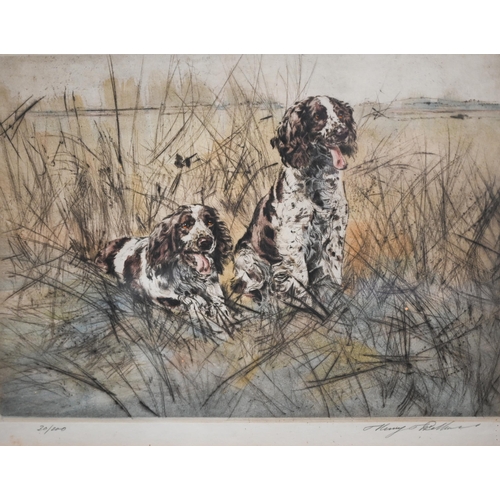 281 - After Henry Wilkinson - Five limited edition hand-coloured etchings, Spaniels, English Springers, Ch... 