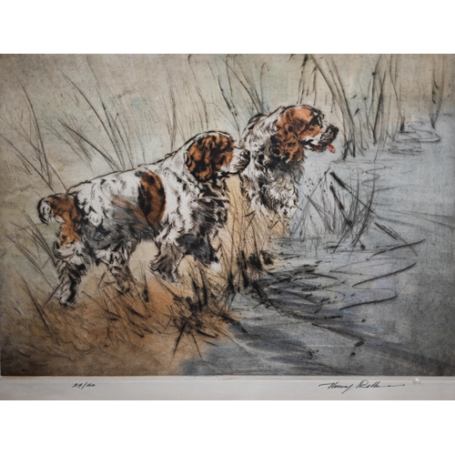 281 - After Henry Wilkinson - Five limited edition hand-coloured etchings, Spaniels, English Springers, Ch... 