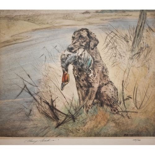 281 - After Henry Wilkinson - Five limited edition hand-coloured etchings, Spaniels, English Springers, Ch... 