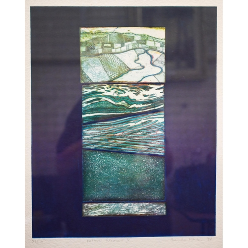 282 - After Brenda Hartill - 'Pastoral Elements III', limited edition print numbered 54/100 and 'Pastoral ... 