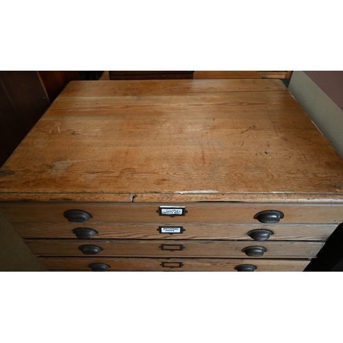 366 - An antique waxed pine six-drawer plan chest with cupped brass handles (2 sections), 122 x 85 x 88 cm... 